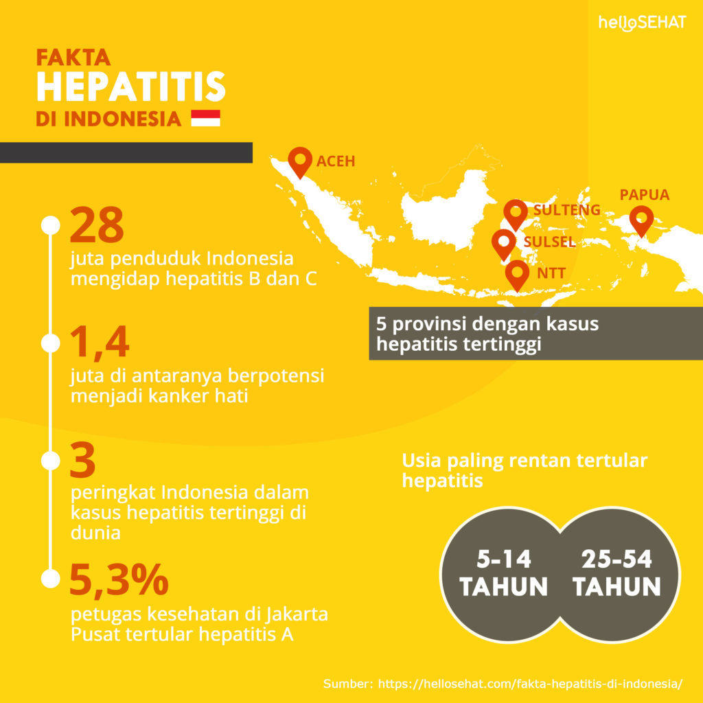 關於印度尼西亞肝炎的事實