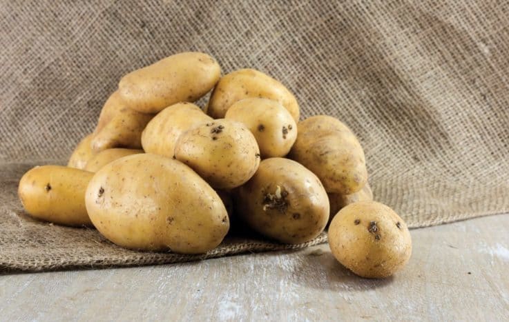 土豆對美容的好處