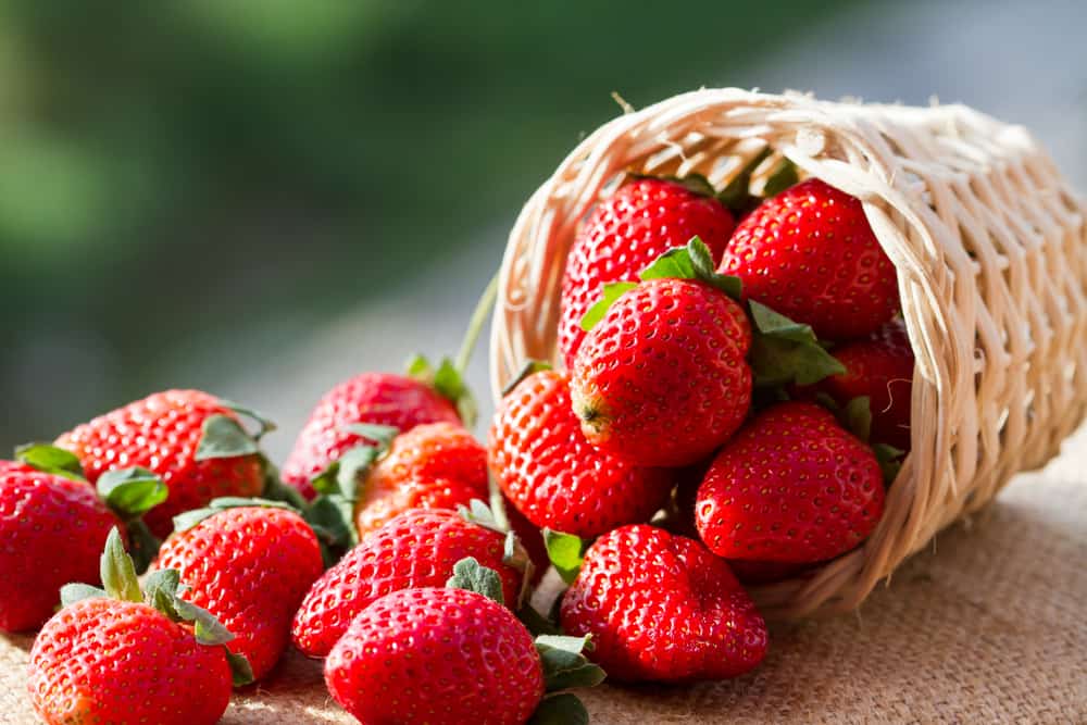 草莓果實的好處