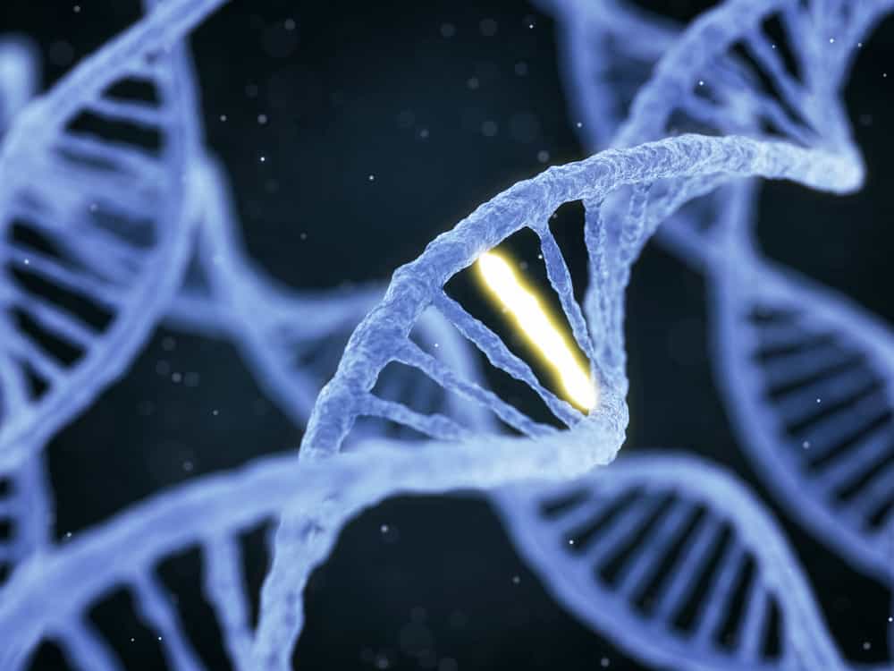 什麼是營養基因組學