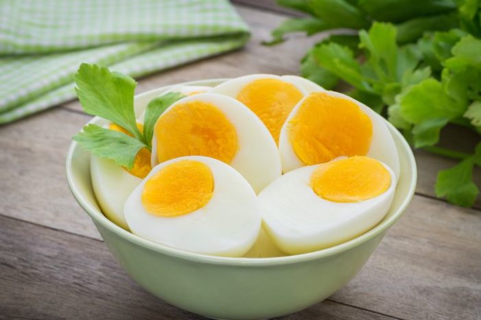 雞蛋清蛋白